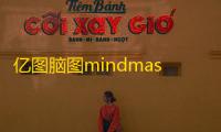 亿图脑图mindmaster